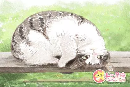 酒与道家文化 喝酒人的兴致 酒与道家文化 喝酒人的兴致