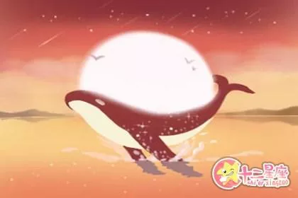 正月菩提和星月菩提的区别 哪个菩提好