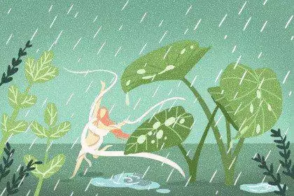 雨水1无字 雨水1无字