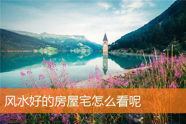 4127005accea2abf5579ff077dd3fa4a45990bf8.webp