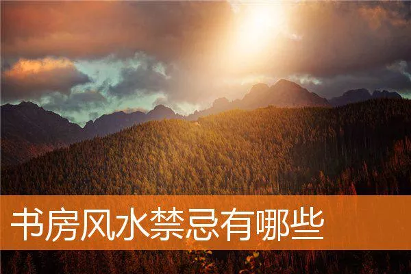 41abf05cc6c59babc2db8f78cc864d024bb4fdfd.webp