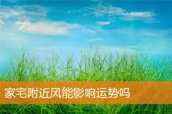 43762cd310183bc5542071bd7db618f30bd3542c.webp