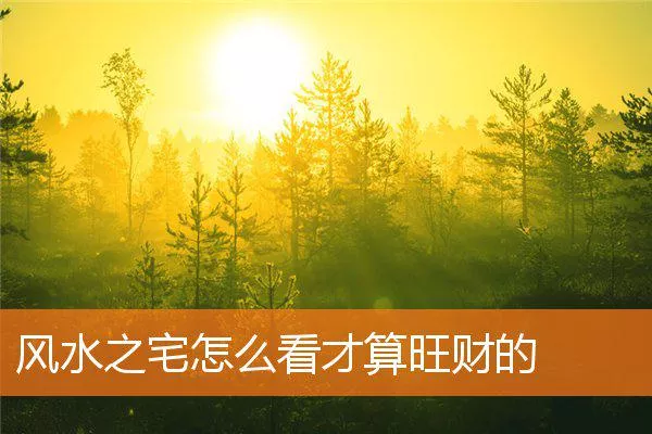 487fc28f917c883d5c2c0d63a89212d0c693f0c8.webp