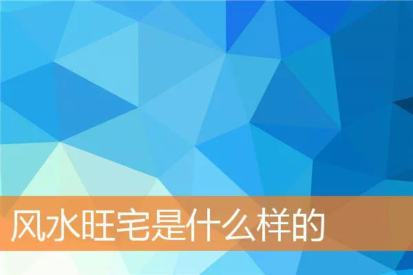 57762be8f2972b5223c45b244c547ecde2adeaa2.webp