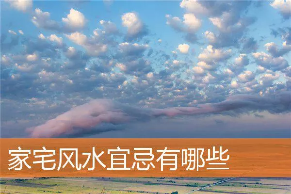 5b081f28d9f46767a7d2fdff397b8650f652c334.webp