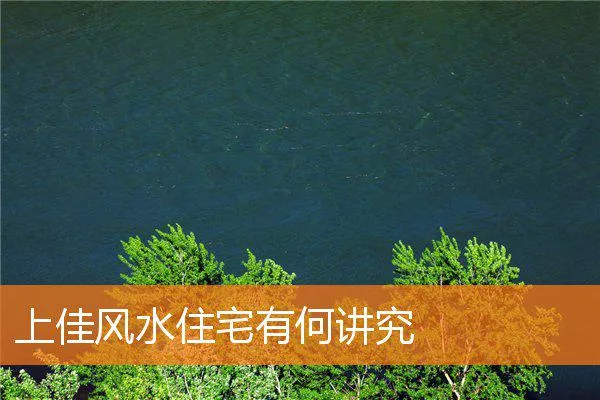 62e2a162127e8ed6f5a22753acc791a9bfc0622c.webp