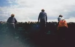 哥们，这麽死了值吗