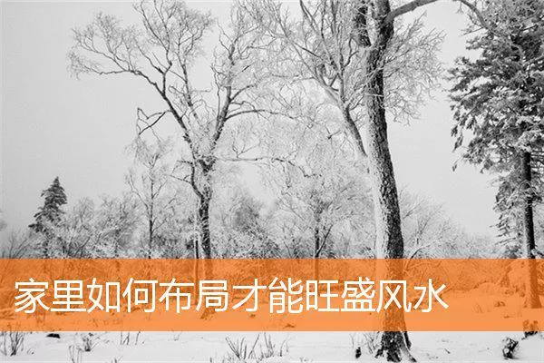 85869abcfeac213038d3fab2e61c01abc9a0814b.webp