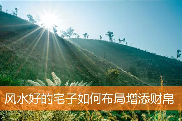 889266f2132d94af0d48fceeae48505a0192f2d5.webp