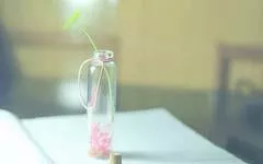 遇见你的纯真岁月