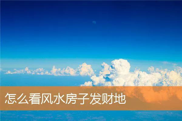 9c1c29b8a55c5ad8f9aec92641da1a631e0bdc12.webp