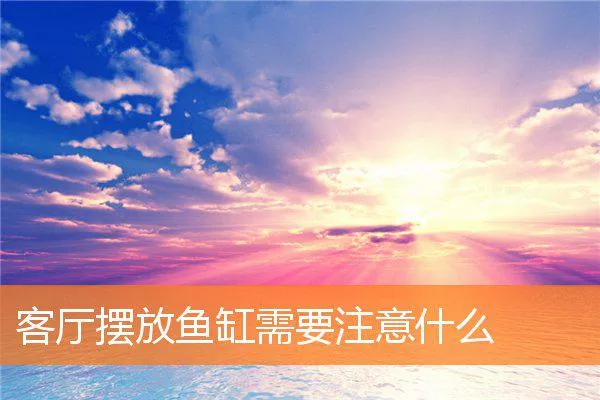 aa3c62754ac1685b758275a86aa100e0d99a75b3.webp