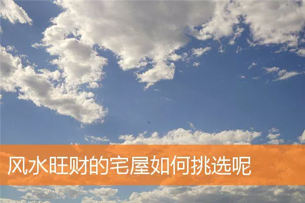 c563a4a75ba9c527b8eadba61b9eedba6351786a.webp
