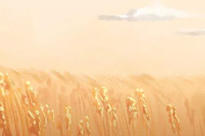 收获节（420x280）