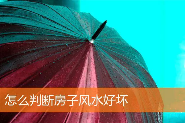 d82807f84f748c1ffd2ad7b7d399bc5085078bfb.webp