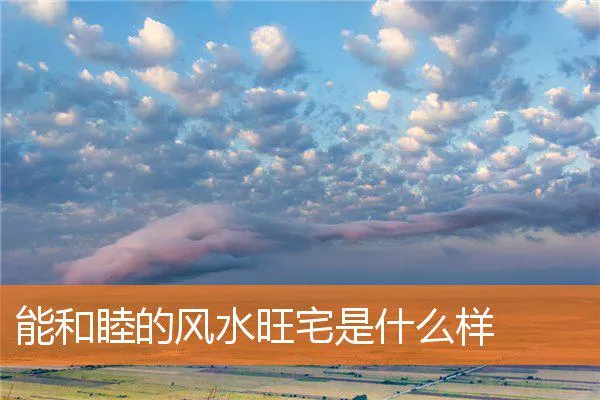 d87d792731c1b101ab977baf908c7095722b2aee.webp