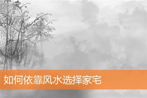 d97db0d48c8ae8c0274abfd9c626b6e12a042517.webp