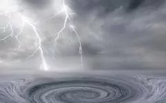 揭秘百慕大食人怪猪