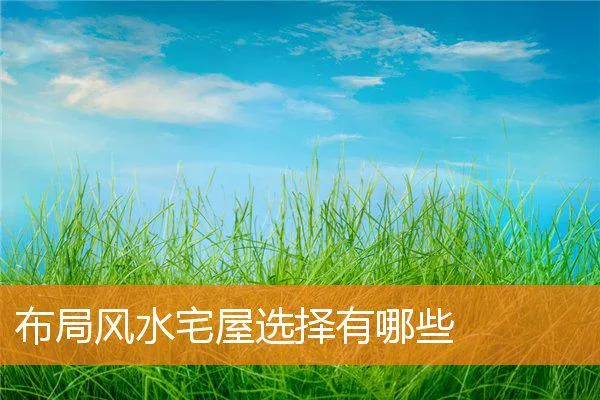 ed586fe29c62857141939b7f2550e41dded91a19.webp