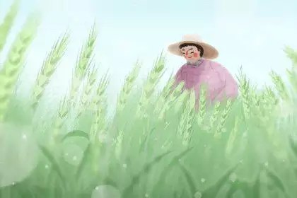 小满4 无字 小满4 无字