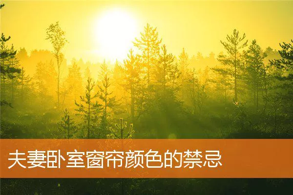 fea54764f7da1d006c8f1e6e623eebcca957bf59.webp