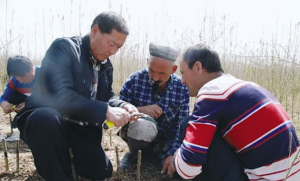 16336783684159585679.jpg 8.jpg