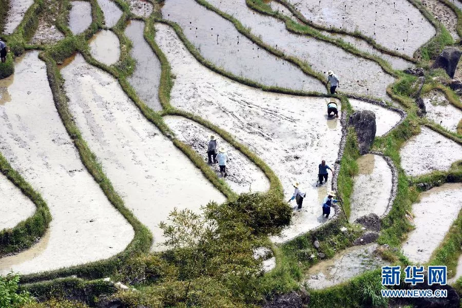 16343694167516368224.jpg 8.jpg