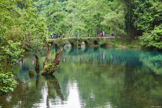 16343693634209345271.jpeg 8.jpeg