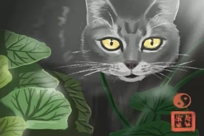 风水学坟墓埋泰山石的讲究 风水学坟墓埋泰山石的讲究