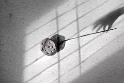 常见的家居风水禁忌 有什么说法 常见的家居风水禁忌 有什么说法