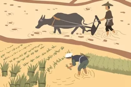 收养猫狗的风水忌讳是什么呢