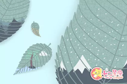 办公室适合养鸟吗 风水影响是什么样的呢