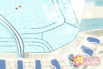 办公室适合养鸟吗 风水影响是什么样的呢