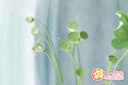 职场防小人 办公室如何布置好呢