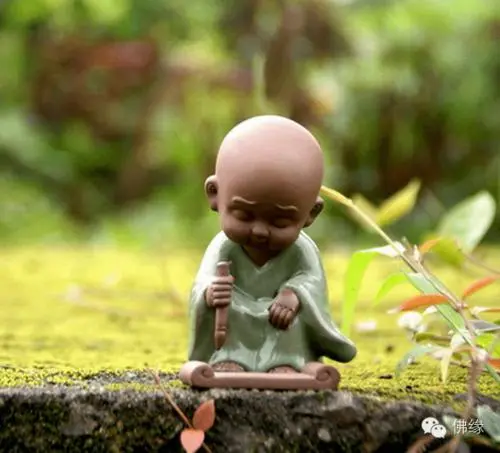 16381736504100612156.webp 8.webp