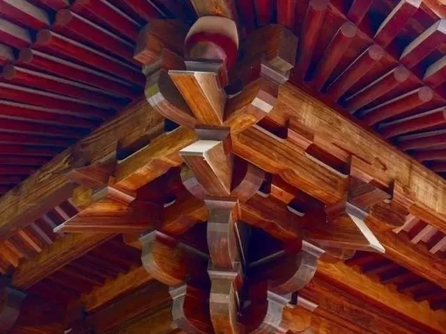 16382597409933247823.jpg 8.jpg