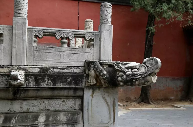 16382599513542563417.jpg 8.jpg