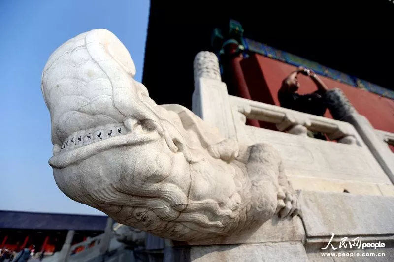 16382600051883752573.jpg 8.jpg