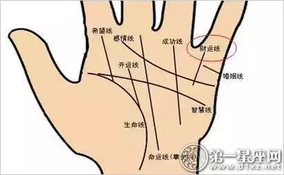 手上多条竖直的财运线 手上多条竖直的财运线