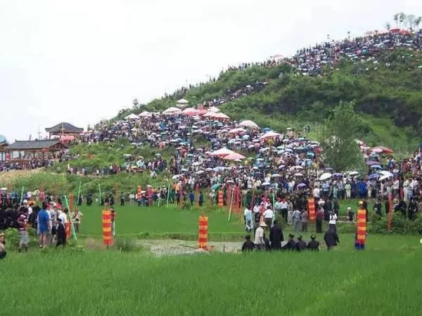 16394685844675634888.jpg 8.jpg