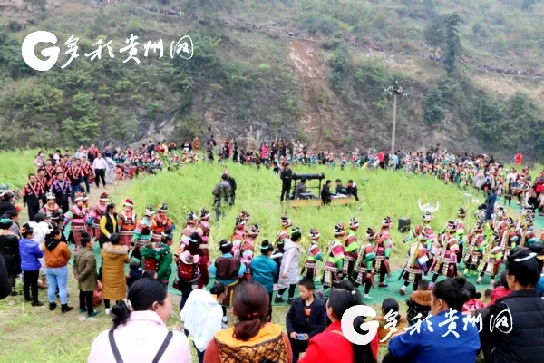 16404198764970672127.jpg 8.jpg