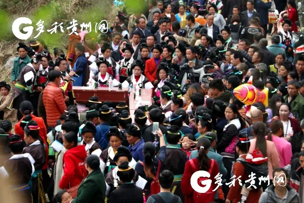 16404199242273722271.jpg 8.jpg