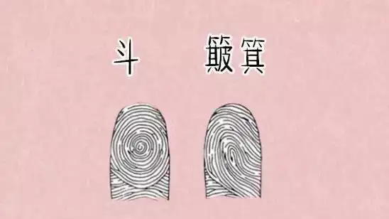 十个簸箕代表什么?从性格到财运全解析.jpg 十个簸箕代表什么?从性格到财运全解析.jpg