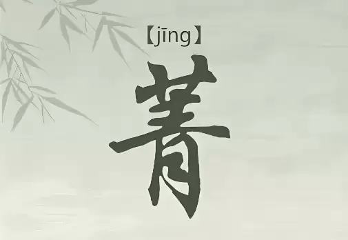 带菁字的女孩名字有哪些?寓意解析与精选名字推荐.jpg 带菁字的女孩名字有哪些?寓意解析与精选名字推荐.jpg