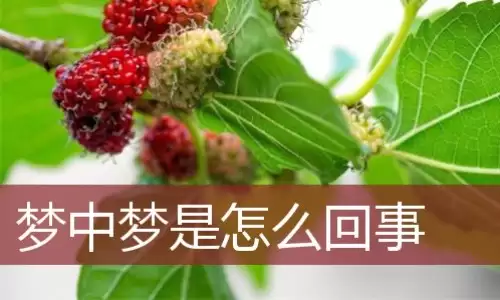 梦中梦无法醒来?到底有何含义.jpg 梦中梦无法醒来?到底有何含义.jpg