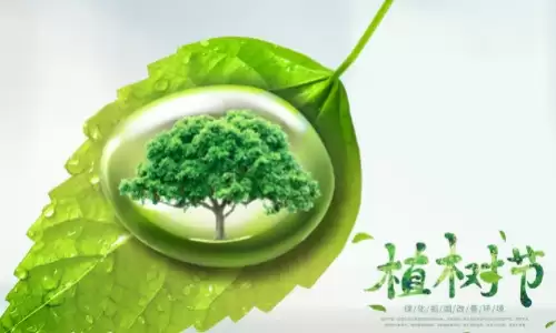 植树节是几月几日？一分钟读懂它的由来.jpg