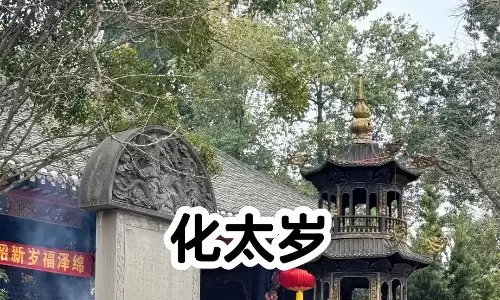 杨公化太岁秘法，简单易学护佑家宅个人.jpg