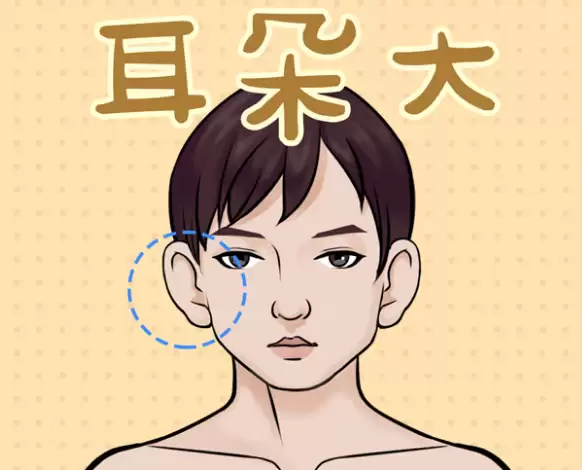 耳大有福,这种说法是否可信.png 耳大有福,这种说法是否可信.png