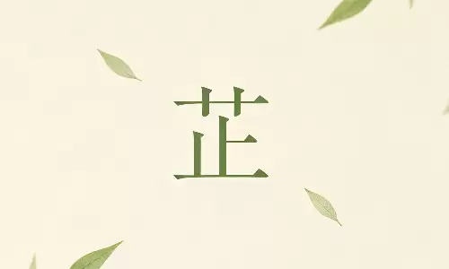 芷字解析，藏于古风诗韵里的温柔宝藏用字.png