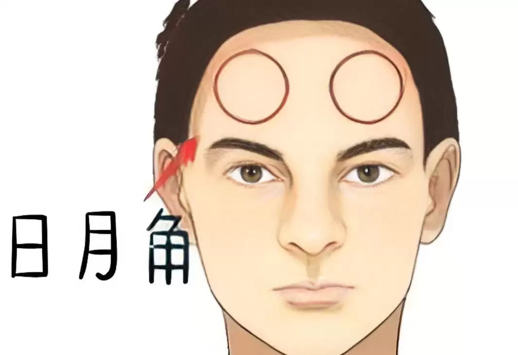 什么是日月角,日月角隆起面相好不好.jpg 什么是日月角,日月角隆起面相好不好.jpg